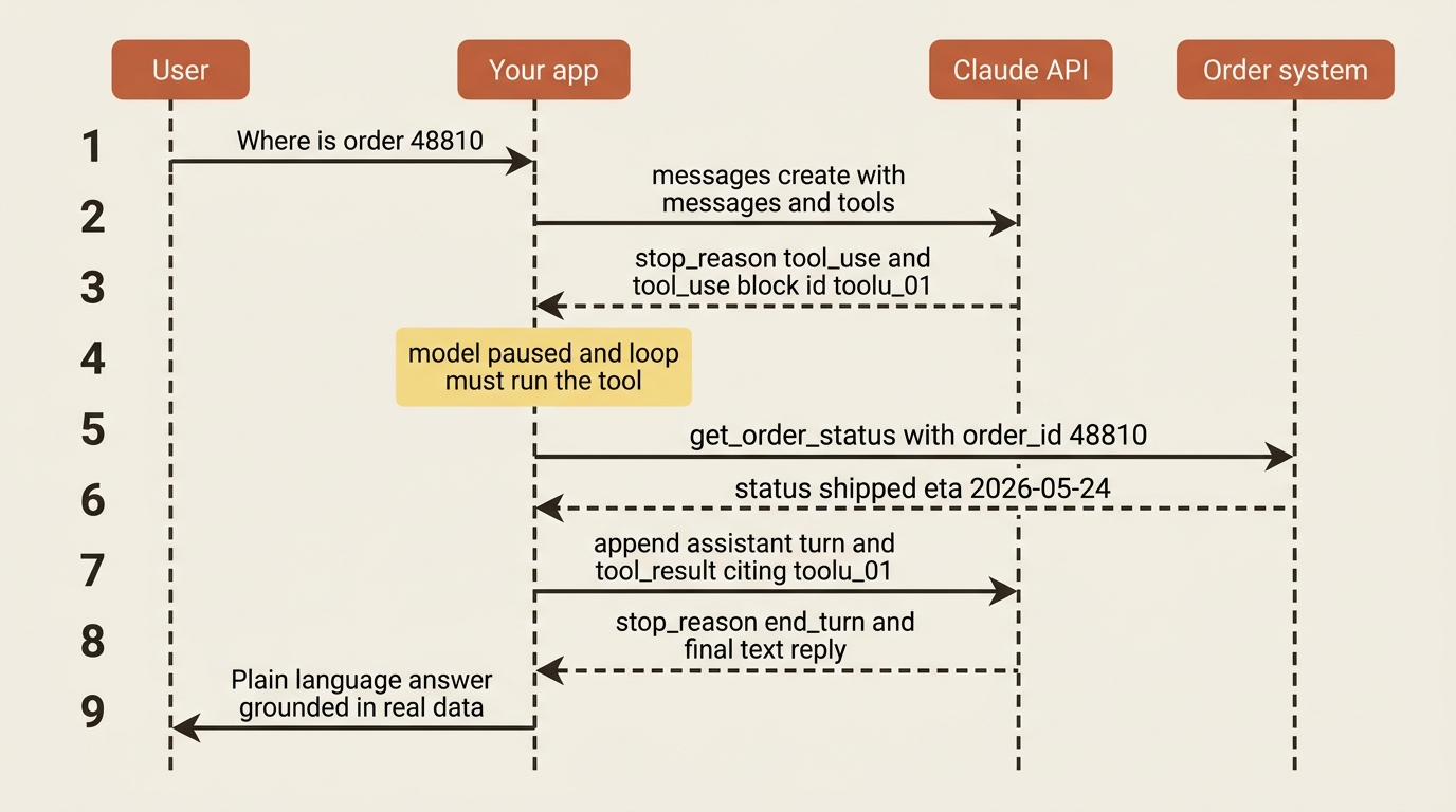 A sequence diagram of one full tool-use round trip: the user asks about an order, the app sends messages and tools, the API returns a tool_use block, the app runs the real lookup, appends the tool_result citing the id, and the API returns the final end_turn reply grounded in real data.